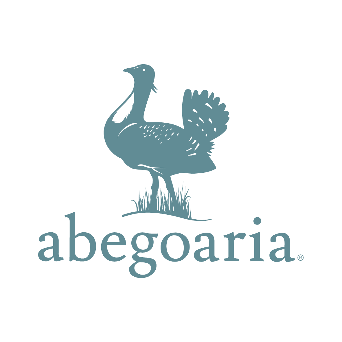 Abegoaria, SA